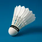 Li-ning D8 Feather Shuttlecock - Image 2