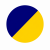 Navy/Gold/White