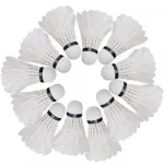 Li-Ning Champ Feather Shuttlecock for badminton training and tournament play