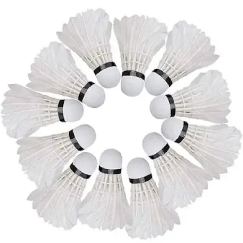 Li-Ning Champ Feather Shuttlecock for badminton training and tournament play